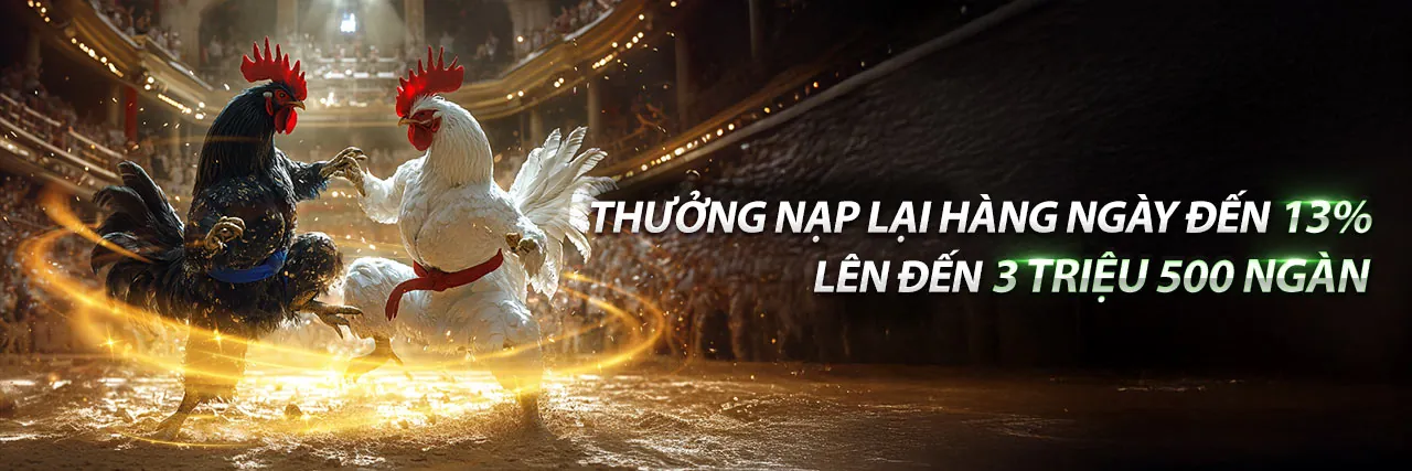 Đá Gà Trực Tuyến Hấp Dẫn tại 79yd