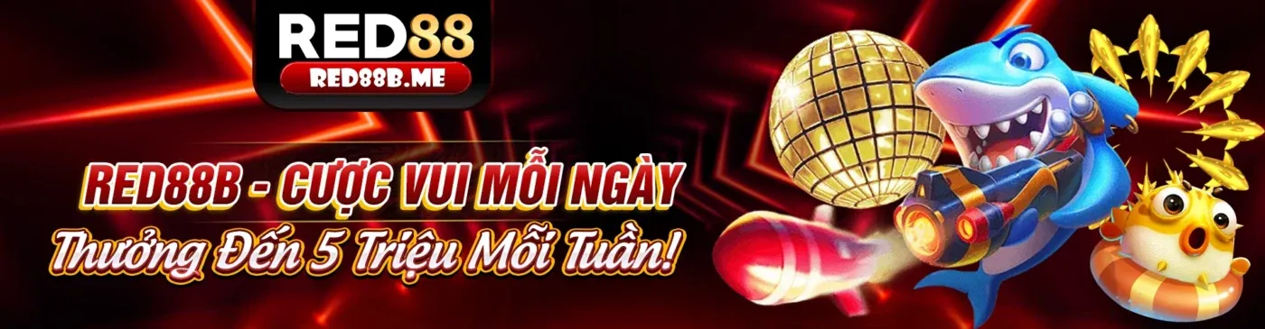 Tin tức mới nhất từ 79yd trang chủ chính thức